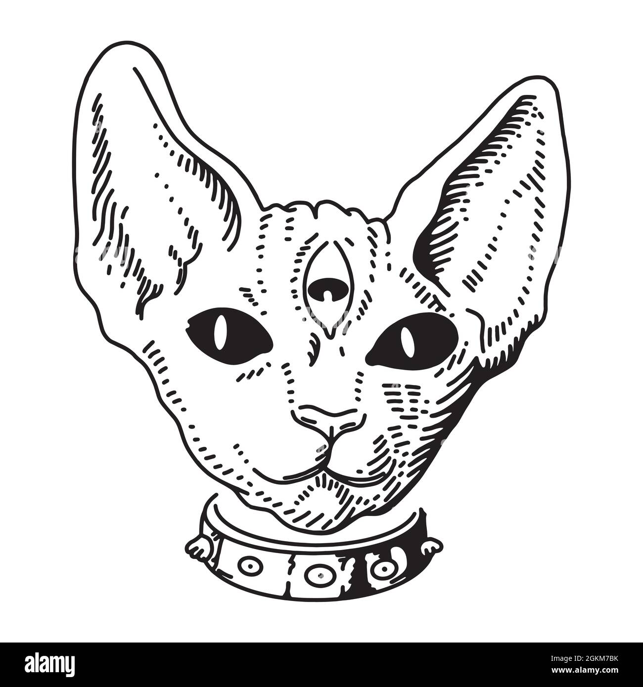 Tatuaje Cat Ilustración vectorial. Grabado vintage. Estilo vintage Hermoso gato  gótico. Tatuajes de arte tradicional. Símbolo mágico místico. Todos viendo  e Imagen Vector de stock - Alamy
