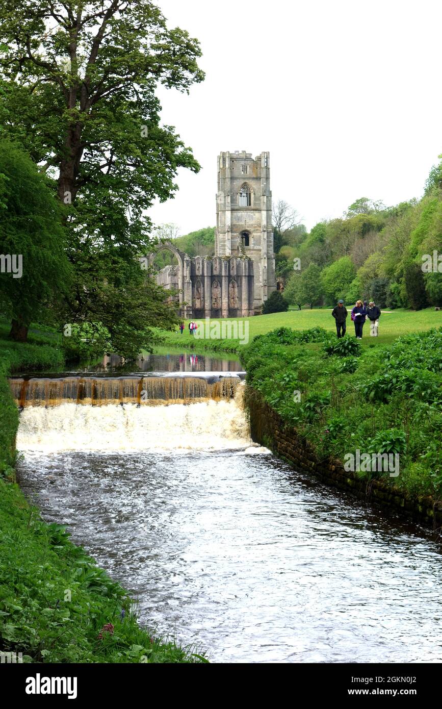 Gente caminando por De Gray's Walk en el río Skell en Fountains Abbey cerca de Ripon en North Yorkshire, Inglaterra, Reino Unido. Foto de stock