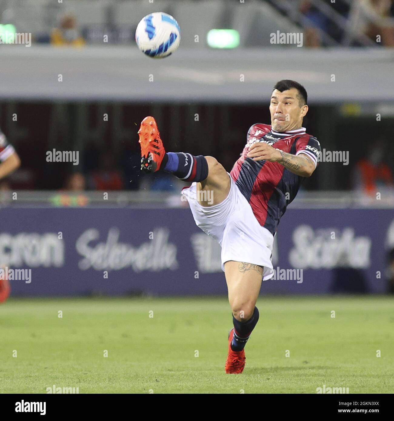 Bolonia, Italia. 13th de Sep de 2021. Gary Medel -Bologna Durante Bologna FC vs Hellas Verona FC, fútbol italiano Serie A en Bolonia, Italia, septiembre de 13 2021 Crédito: Agencia Independiente de Fotografía/Alamy Live News Foto de stock