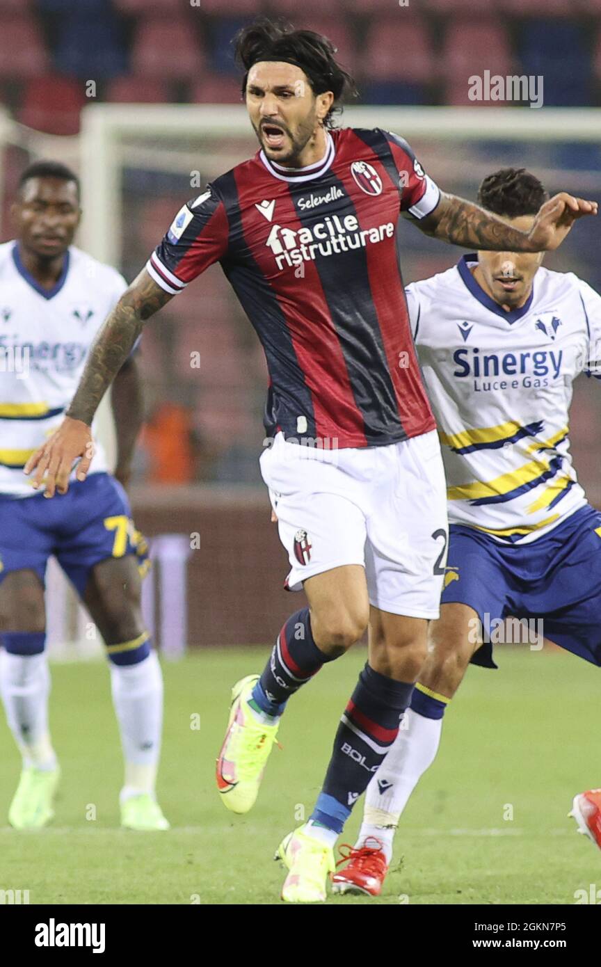 Bolonia, Italia. 13th de Sep de 2021. Roberto Soriano -Bolonia Durante el Bolonia FC vs Hellas Verona FC, fútbol italiano Serie A en Bolonia, Italia, septiembre de 13 2021 Crédito: Agencia Independiente de Fotografía / Alamy Live News Foto de stock