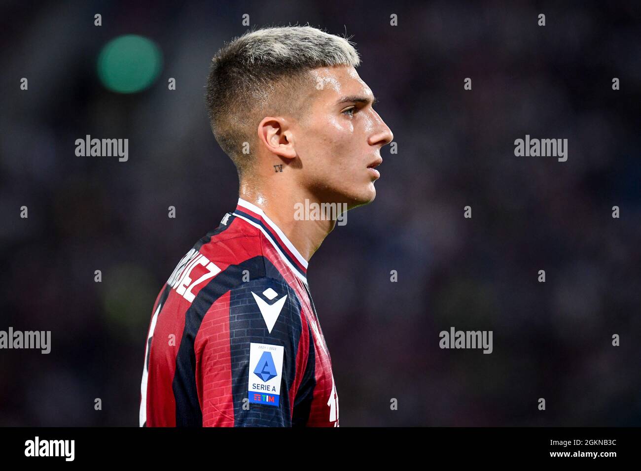Bolonia, Italia. 13th de Sep de 2021. Nicolas Domínguez (Bolonia) retrato durante Bolonia FC vs Hellas Verona FC, fútbol italiano Serie A partido en Bolonia, Italia, septiembre de 13 2021 Crédito: Agencia Independiente de Fotografía / Alamy Live News Foto de stock