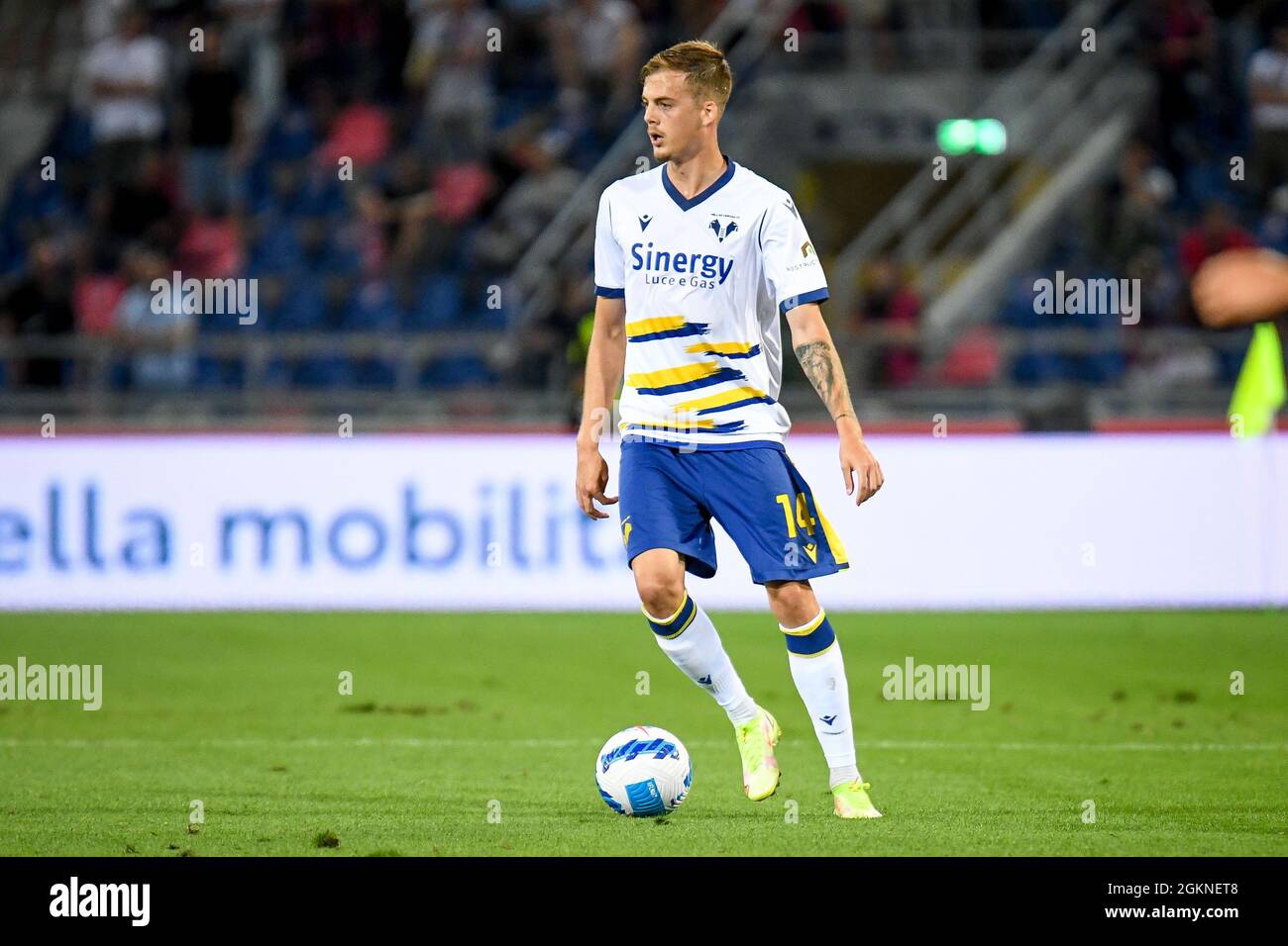 Bolonia, Italia. 13th de Sep de 2021. Ivan Ilic (Verona) retrato en acción durante Bolonia FC vs Hellas Verona FC, fútbol italiano Serie A partido en Bolonia, Italia, septiembre de 13 2021 Crédito: Agencia Independiente de Fotografía / Alamy Live News Foto de stock