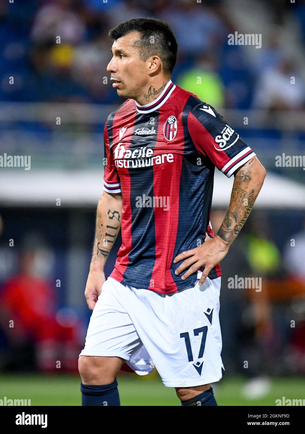 Bolonia, Italia. 13th de Sep de 2021. Gary Medel (Bolonia) retrato durante el Bolonia FC vs Hellas Verona FC, fútbol italiano Serie A partido en Bolonia, Italia, septiembre de 13 2021 Crédito: Agencia Independiente de Fotografía / Alamy Live News Foto de stock