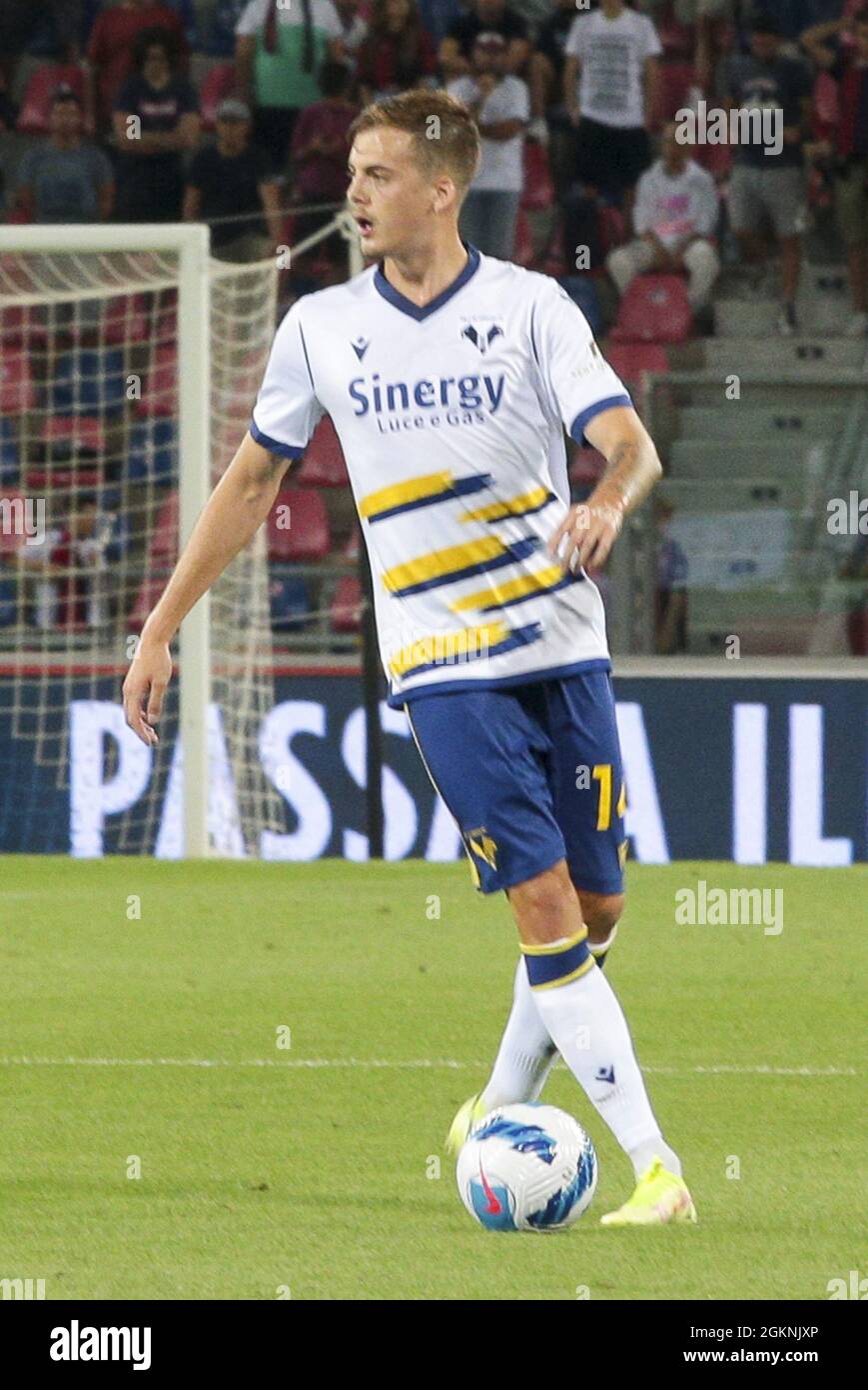 Bolonia, Italia. 13th de Sep de 2021. Iván Ilic -Hellas Verona durante Bolonia FC vs Hellas Verona FC, fútbol italiano Serie A partido en Bolonia, Italia, septiembre de 13 2021 Crédito: Agencia Independiente de Fotografía / Alamy Live News Foto de stock