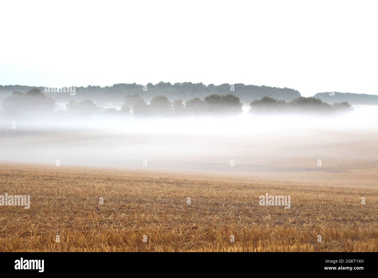 Por la mañana mieles sobre tierras de labranza en Lincolnshire Foto de stock