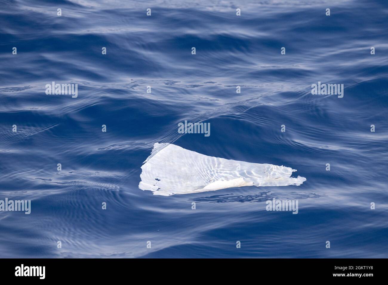 bolsa de plástico en el mar azul profundo bajo el agua Fotografía de stock  - Alamy