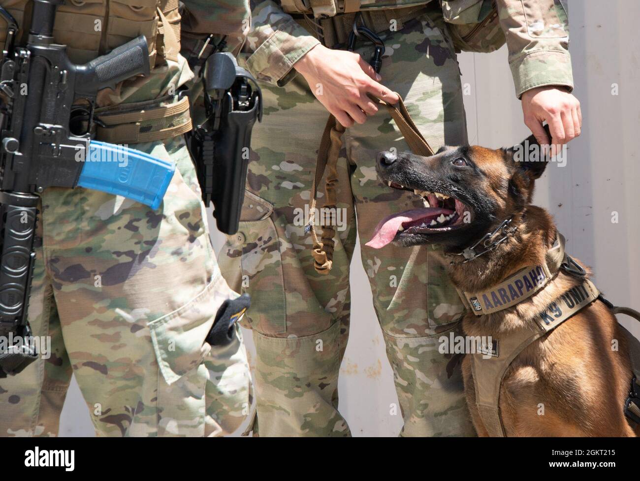 El perro de trabajo militar Aarapaho recibe cierta atención de su  manejador, Staff Sgt. Alexa Ammerman, 60th Fuerza de Seguridad Escuadrón  militar de manejo de perros de trabajo, después de completar exitosamente
