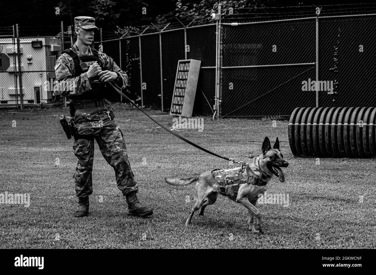 Especialista del Ejército de los Estados Unidos Taylor Blanton, 3rd Jefe de  Policía Militar, Manejador de Perros de Trabajo Militar, trabaja con su  perro de trabajo militar Maya, durante la escolta de