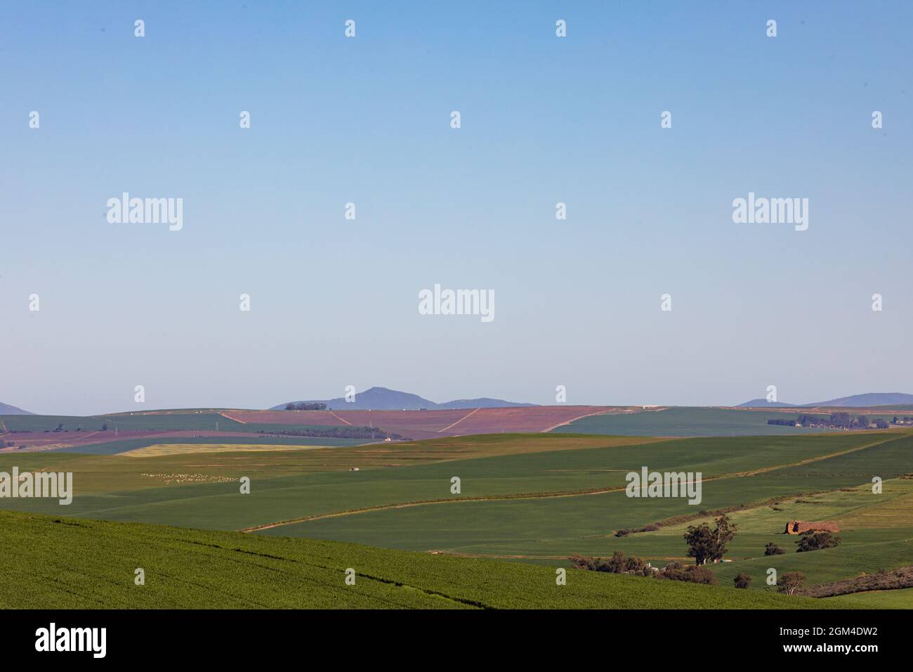 Vista general del paisaje rural con cielo sin nubes Foto de stock