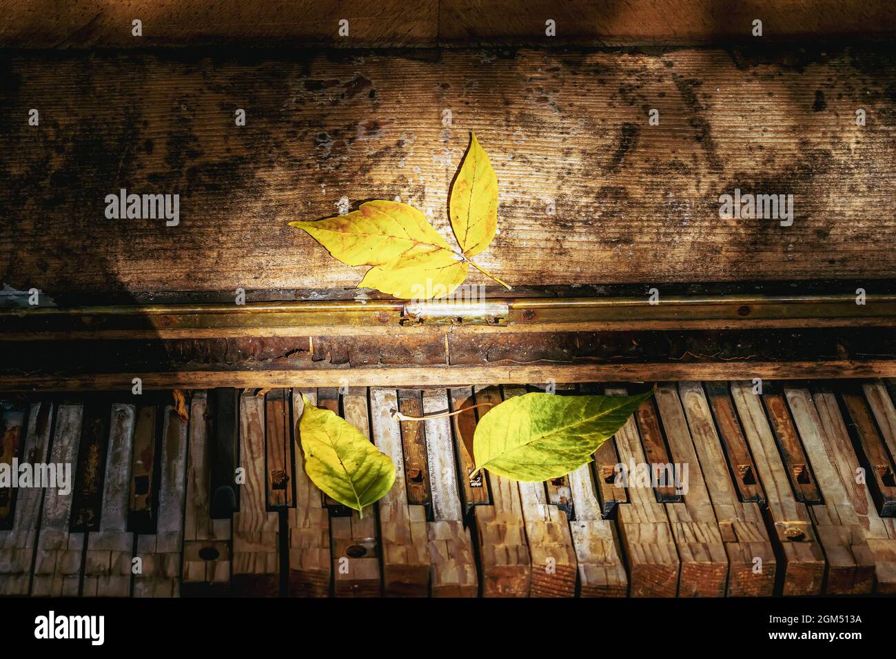 Teclas de piano rotas del viejo piano abandonado cubierto de hojas caídas  cerca. Nostalgia del otoño, tristeza, estado de ánimo Fotografía de stock -  Alamy