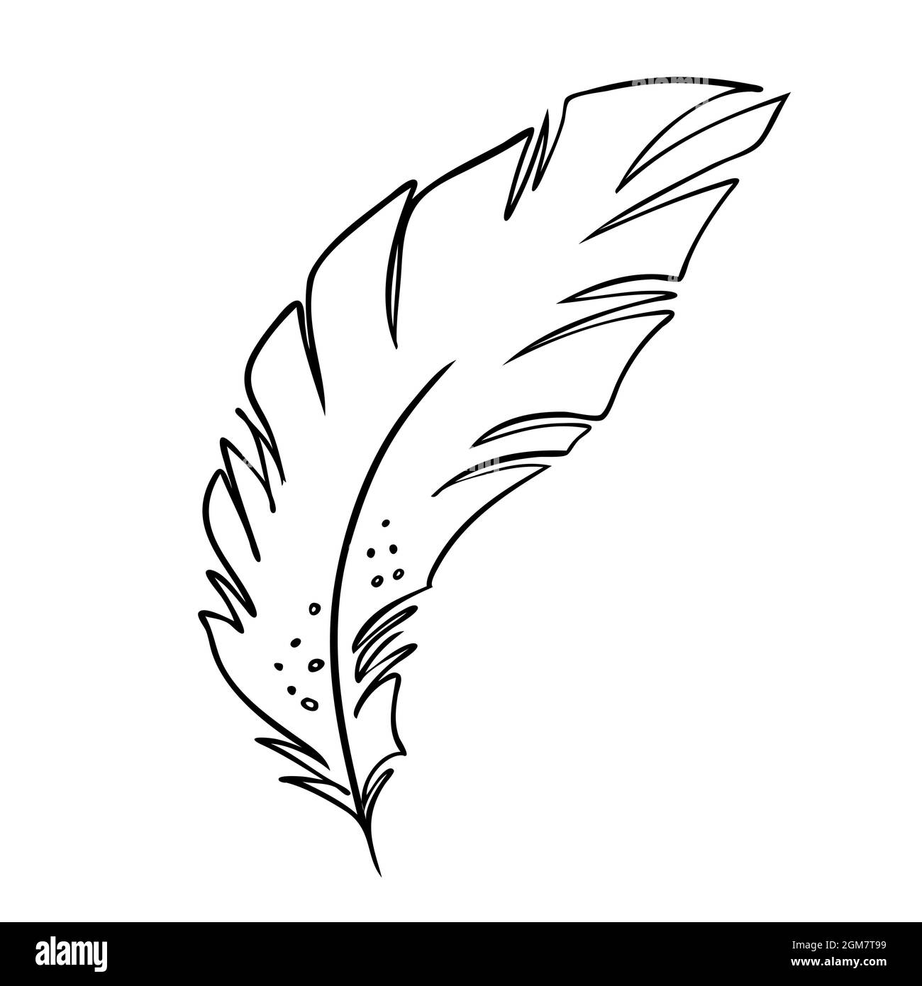 Plumas de aves. Silueta de pluma en blanco y negro para un conjunto de  vectores con logotipo Imagen Vector de stock - Alamy