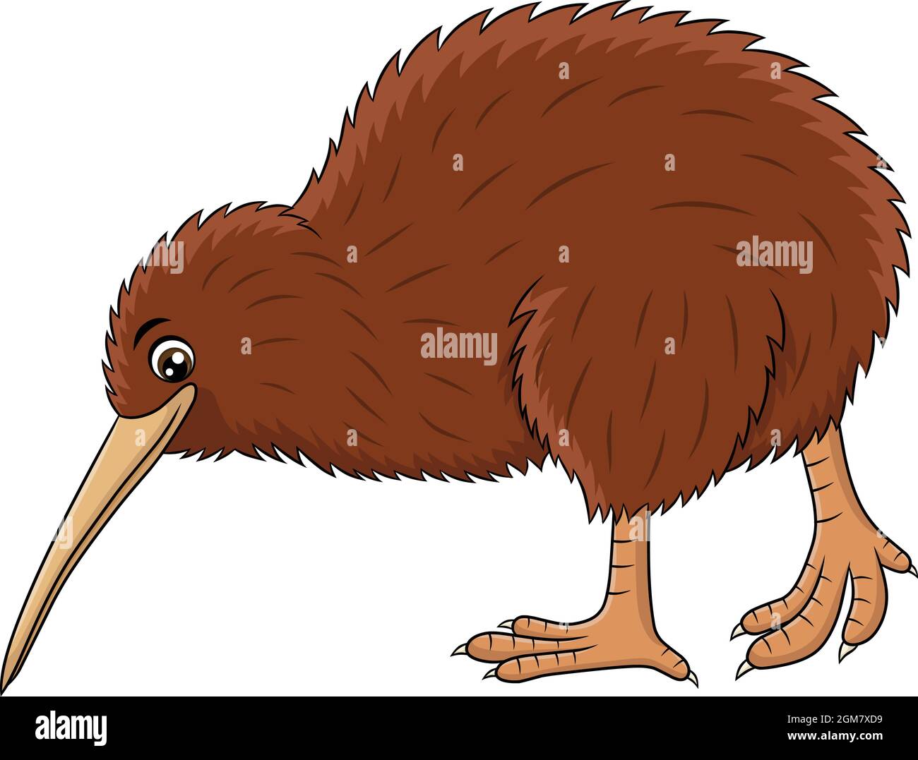 Pájaro kiwi de dibujos animados fotografías e imágenes de alta resolución -  Alamy