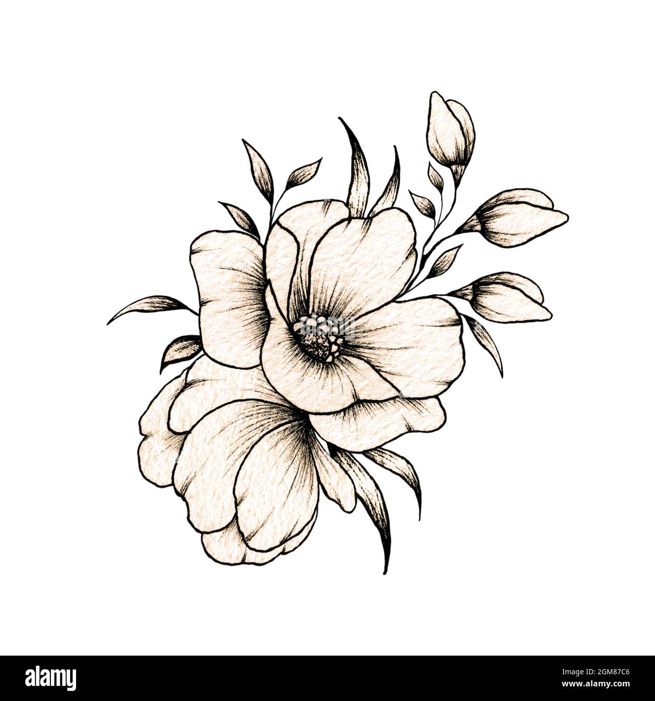 Diseño floral vintage, composición floral primaveral, dibujo de tinta de  hermosa ilustración botánica y boceto floral negro para tarjetas Fotografía  de stock - Alamy