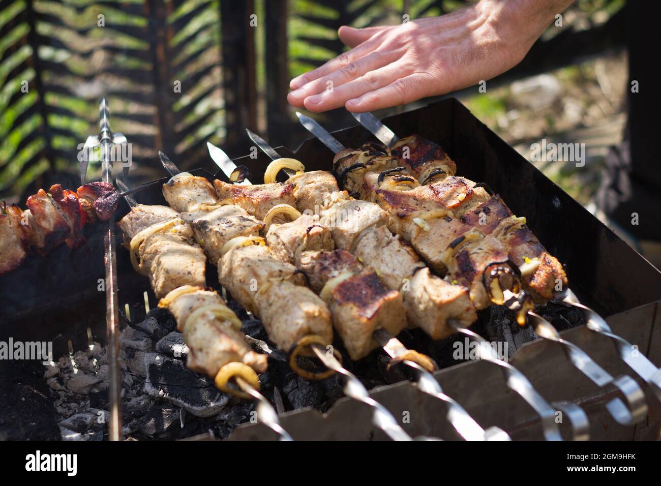 Bellas Vistas De Cerca Del Asador De Carne Al Aire Libre En Un Día De  Primavera. Alimento Orgánico Saludable. Imagen de archivo - Imagen de  colorido, cena: 225016267