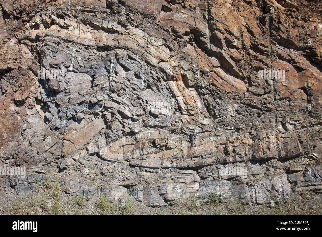 Fallo de empuje y rampa anticlina en roca sedimentaria, Columbia Británica, Canadá. Martillo en la parte inferior central de la foto. (120707-10) plegado Foto de stock