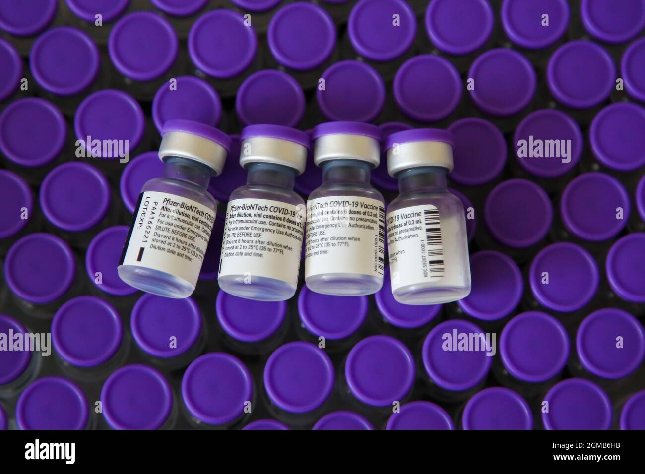 Los viales que contienen la vacuna Pfizer Covid-19 se observan en un centro de vacunación durante la vacunación.El NHS de primera línea y el personal de atención social, las personas de 50 años o más y las personas de 16 años o más con problemas de salud son elegibles para recibir una dosis de la vacuna Pfizer, O una media dosis de la vacuna Moderna como covid-19 costras de refuerzo se implantan en el Reino Unido. (Foto de Dinendra Haria / SOPA Images/Sipa USA) Foto de stock