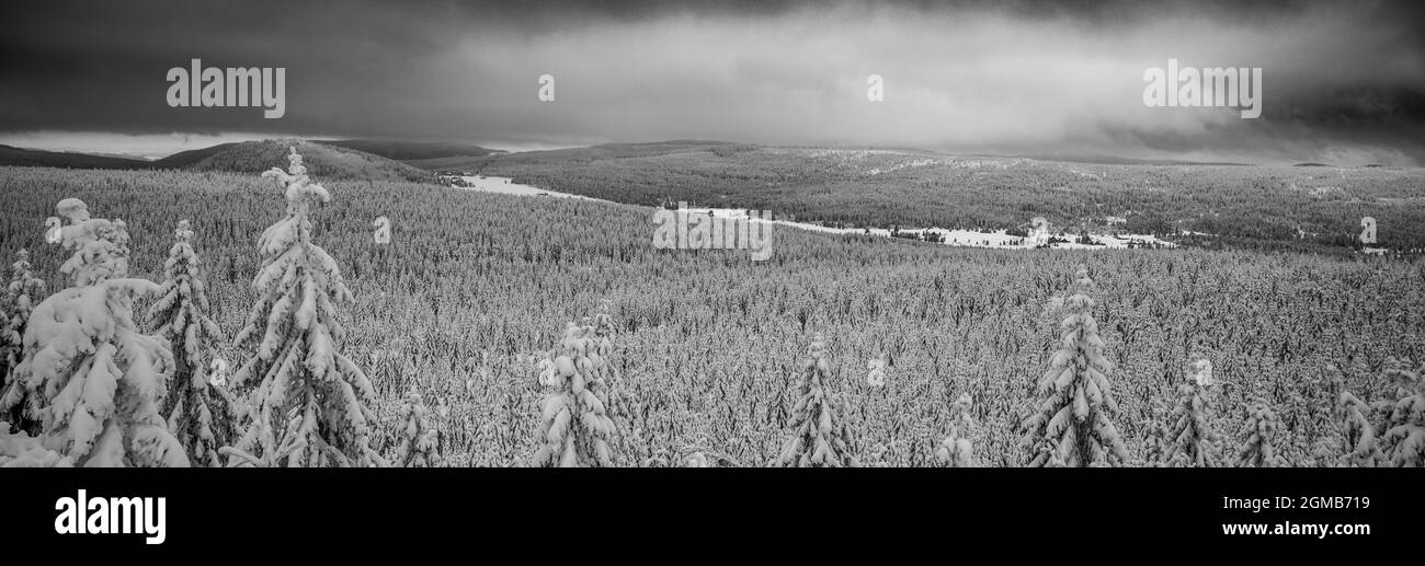 Paisaje forestal invernal en las montañas de Jizera, República Checa. Vista panorámica. Imagen en blanco y negro. Foto de stock