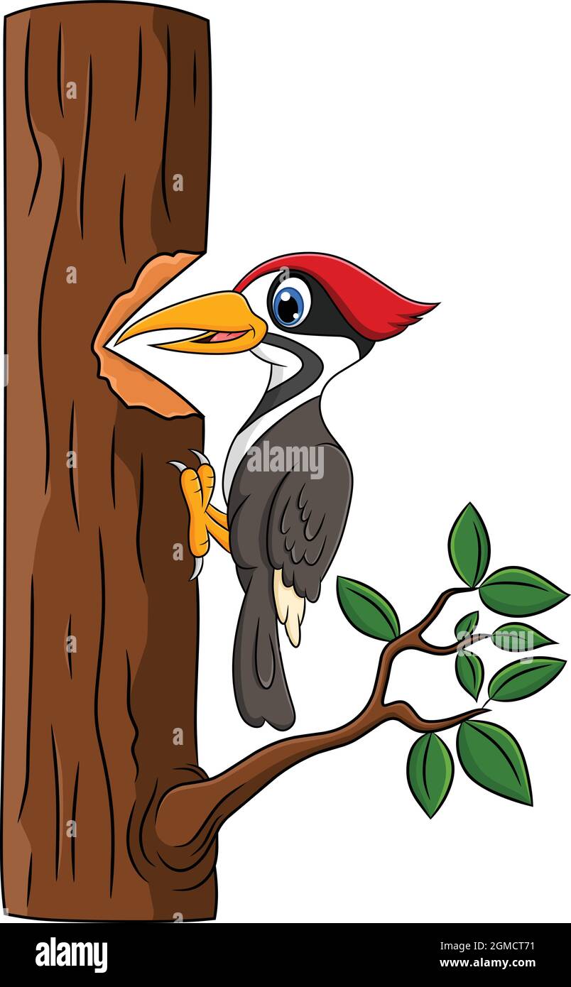 Lindo pájaro carpintero ilustración de vectores de dibujos animados Imagen  Vector de stock - Alamy