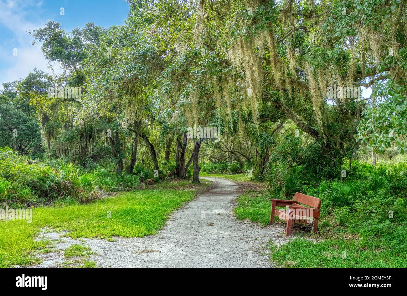 Sendero para caminar en Lemon Bay Park y Environmental Centerin Englewood en la Costa del Golfo de Florida, Estados Unidos Foto de stock
