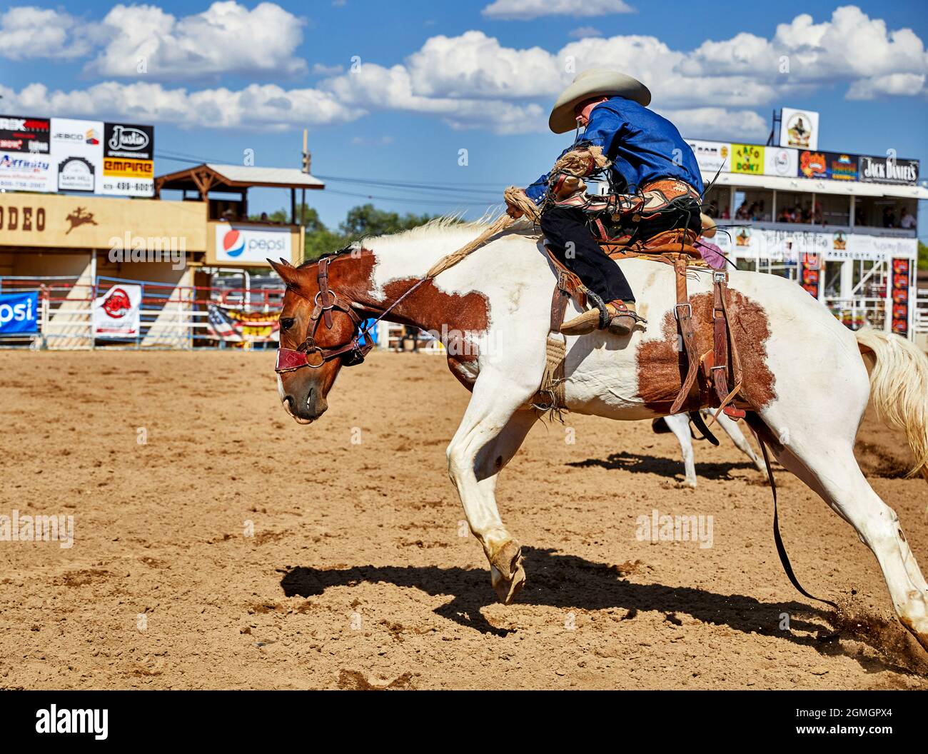 Prescott, Arizona, EE.UU. - 12 de septiembre de 2021: Vaquero montando a caballo en el rodeo que se celebra en el recinto ferial de Prescott Rodeo durante Foto de stock