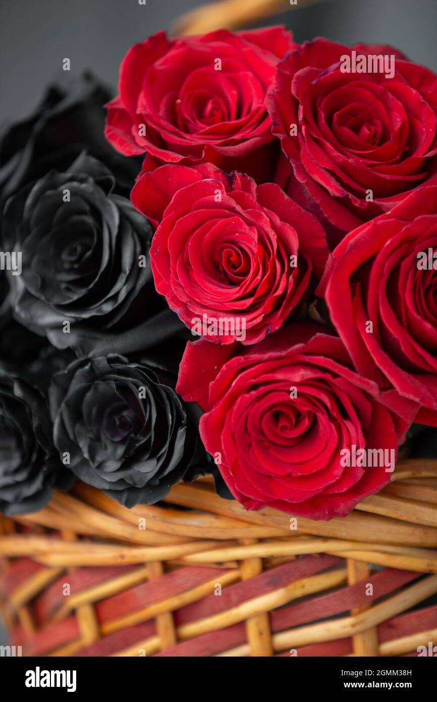 hermoso arreglo floral con rosas negras y rojas en una cesta de mimbre,  decoración con belleza de la naturaleza en una mesa, detalle de los pétalos  en el estudio Fotografía de stock -