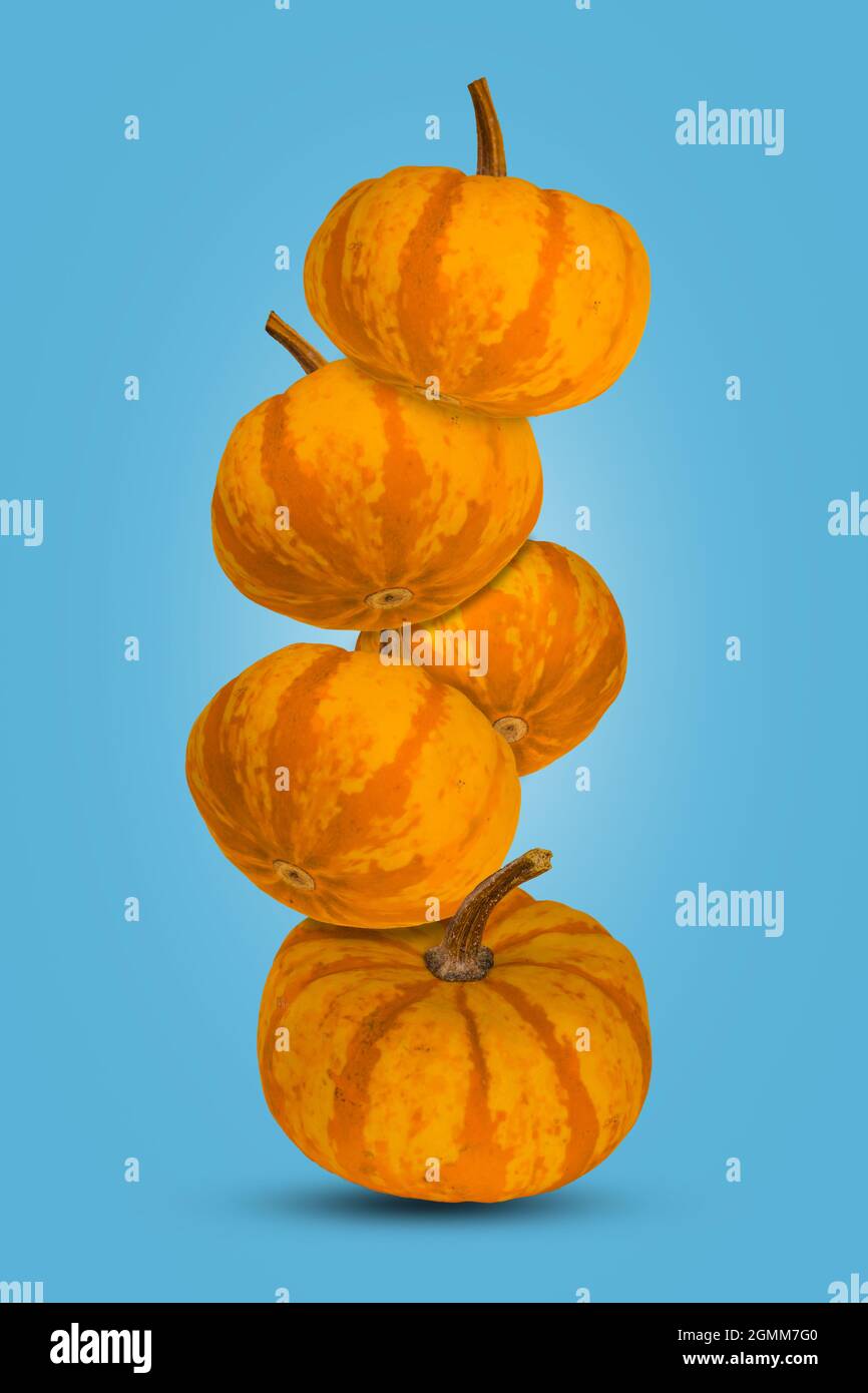 Diseño de otoño creativo con calabazas flotantes en un fondo azul, decoración de vacaciones. Halloween o fondo del concepto de Acción de Gracias. Foto de stock