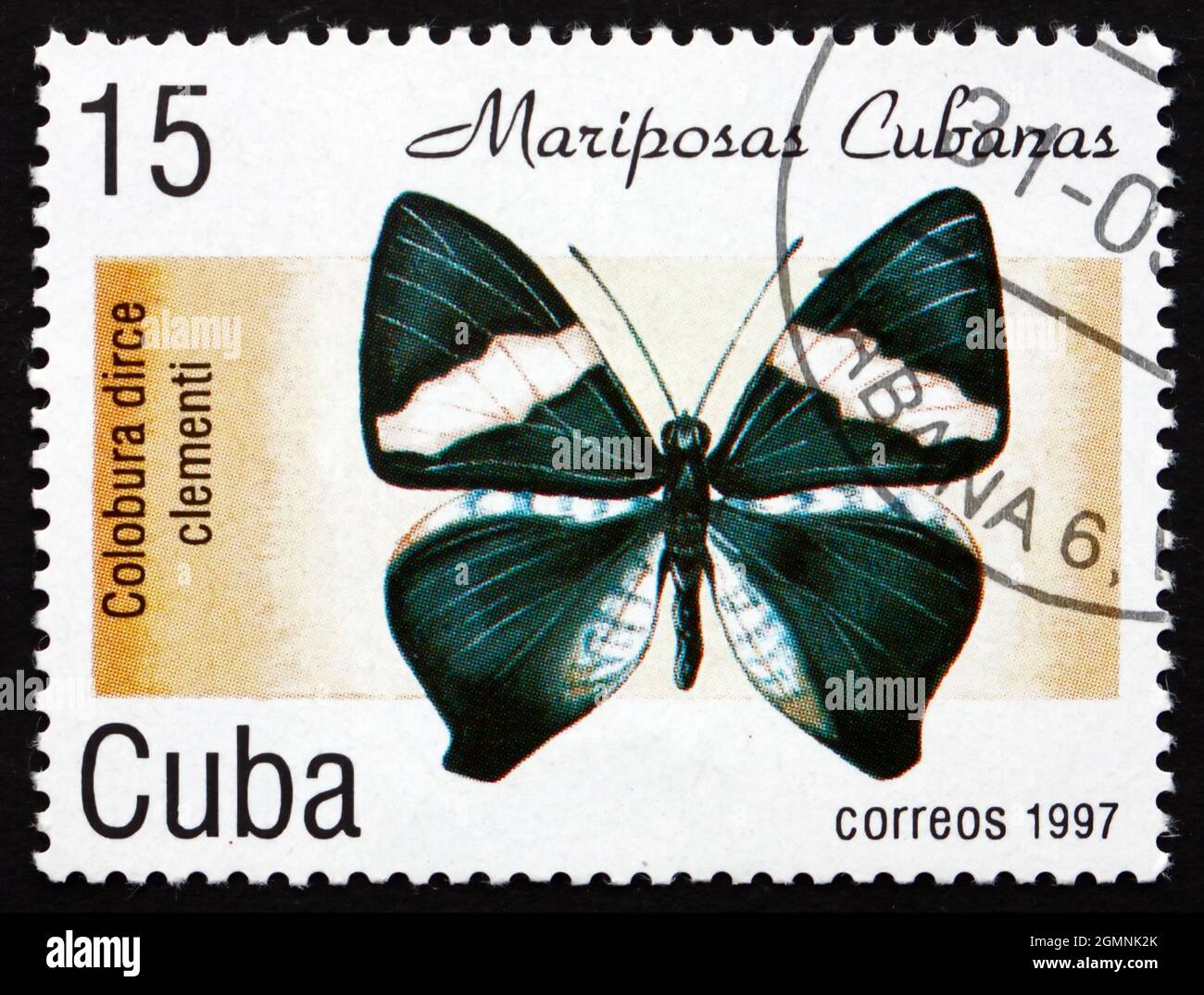 CUBA - CIRCA 1997: Un sello impreso en la Cuba muestra Dirce Beauty, Colobura Dirce Clementi, Butterfly, circa 1997 Foto de stock