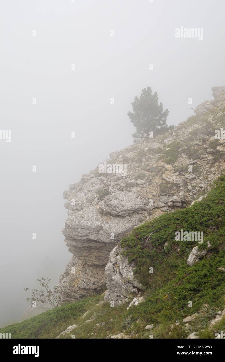 Pendientes de piedra de la montaña de Ai-Petri en densa niebla. La pendiente está sobrecultivada con hierba. Foto de stock