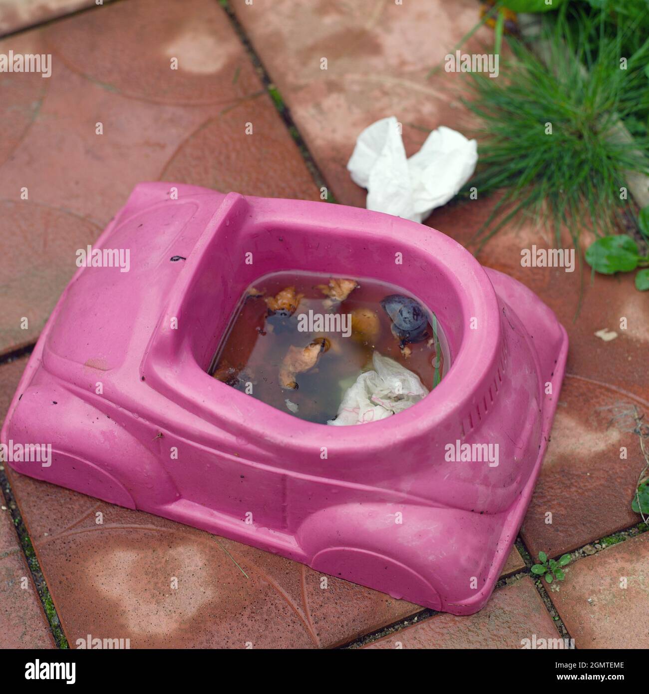 Olla De Bebe Sin Lavar Roja Con Caca Izquierda Al Aire Libre Enfoque En El Primer Plano Fotografia De Stock Alamy