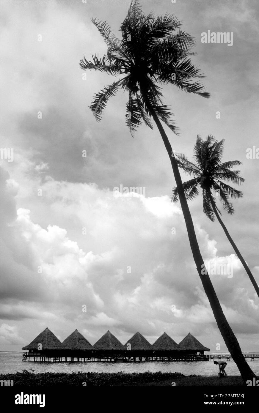 Tahití, Polinesia Francesa - Marzo 1984; una línea de cabañas de playa en Moorea en Polinesia Francesa hace un fascinante patrón abstracto Foto de stock