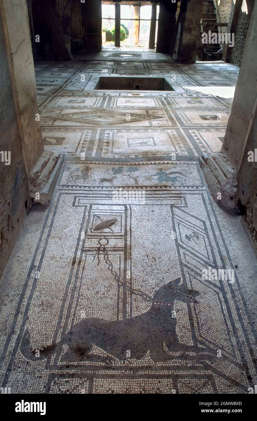 Pompeya, Italia - 2011 de febrero; los romanos claramente amaban a sus perros, al igual que nosotros. Hay varios mosaicos de perros en Pompeya, aparte de la más famosa sh Foto de stock
