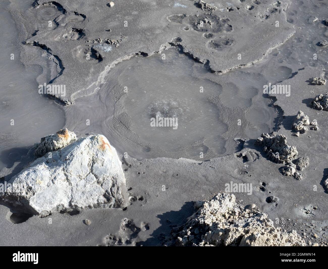 Rotorua, Nueva Zelanda - 1 de marzo de 2019; Rotorua, en la Isla Norte de Nueva Zelanda, es un área extensa llena de respiraderos geotérmicos, manantiales de barro hirviendo, su Foto de stock