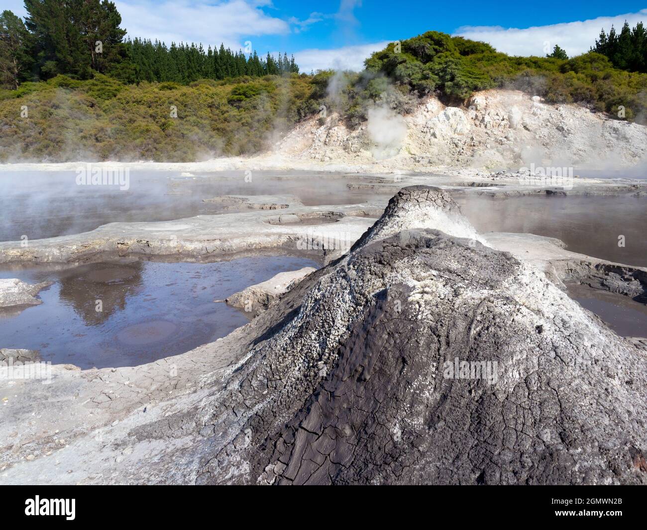 Rotorua, Nueva Zelanda - 1 de marzo de 2019; Rotorua, en la Isla Norte de Nueva Zelanda, es un área extensa llena de respiraderos geotérmicos, manantiales de barro hirviendo, su Foto de stock