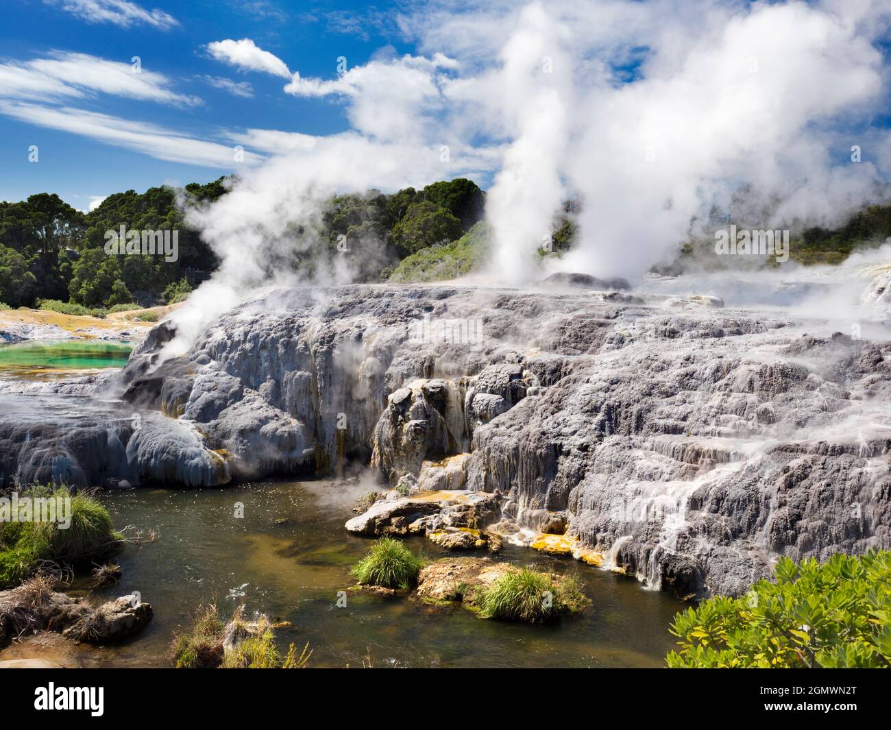 Rotorua, Nueva Zelanda - 1 de marzo de 2019; Rotorua, en la Isla Norte de Nueva Zelanda, es un área extensa llena de respiraderos geotérmicos, manantiales de barro hirviendo, su Foto de stock