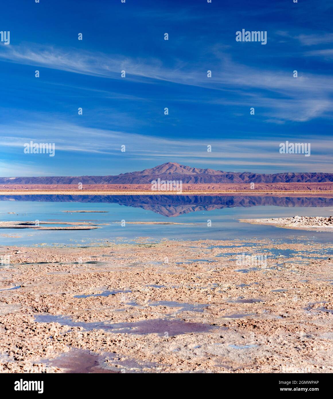 Salar de Atacama, Chile - 27 de mayo de 2018; Salar de Atacama, el salar más grande de Chile, cubre más de 3.000 kilómetros cuadrados, convirtiéndolos en uno de los Foto de stock
