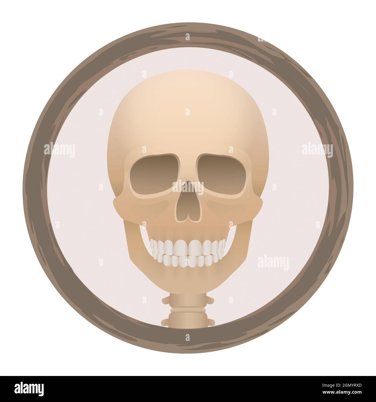 El logotipo de la cabeza del cráneo o de la muerte en un marco redondo - espeluznante, espeluznante, aterrador, pero con una sonrisa amistosa - ilustración sobre fondo blanco. Foto de stock
