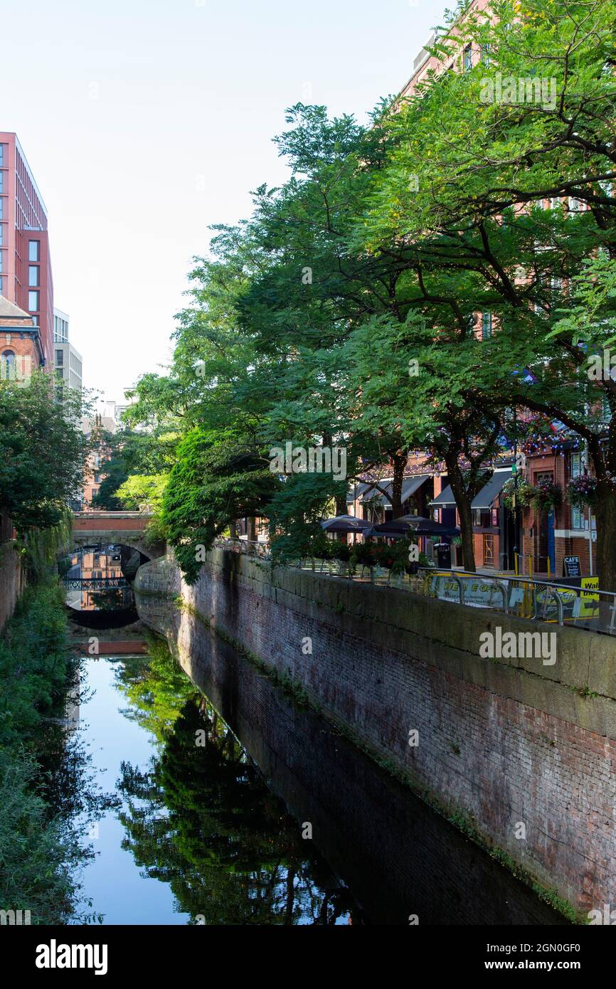 La falsa Acacia bordeó Canal Street y el Canal Rochdale, en el centro de la ciudad de Manchester Foto de stock