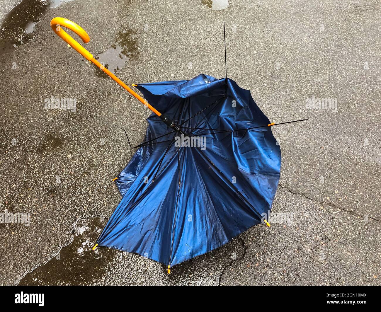 Un paraguas de caña roto negro se encuentra en el pavimento A en un charco.  Un paraguas con radios rotos y mango de madera. Mal tiempo, huracán,  tormenta, viento Fotografía de stock -