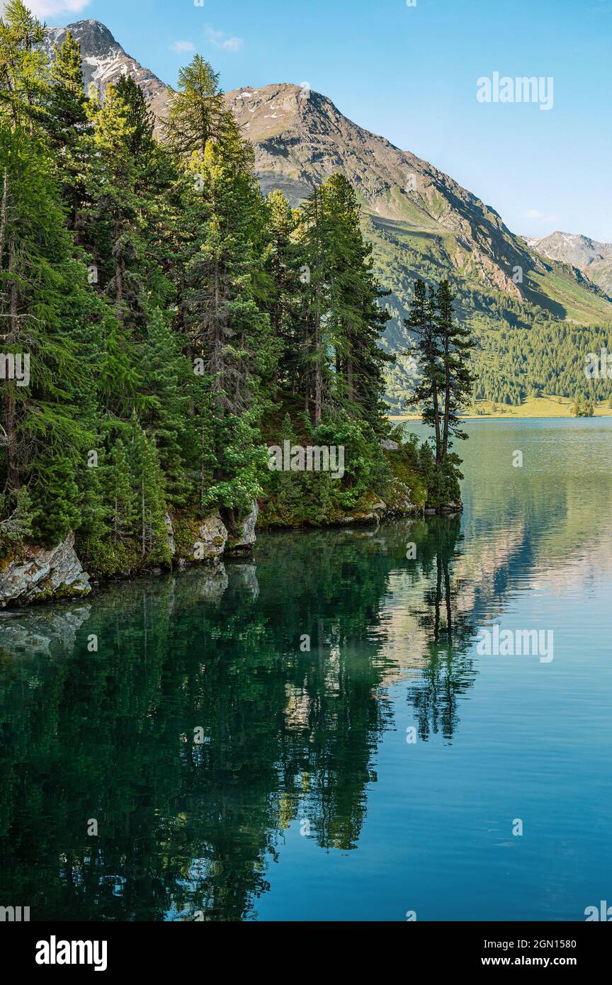Mañana de verano en la Península de Caste, Lago Sils, Upper Engadin, Suiza, con Piz Margna al fondo Foto de stock