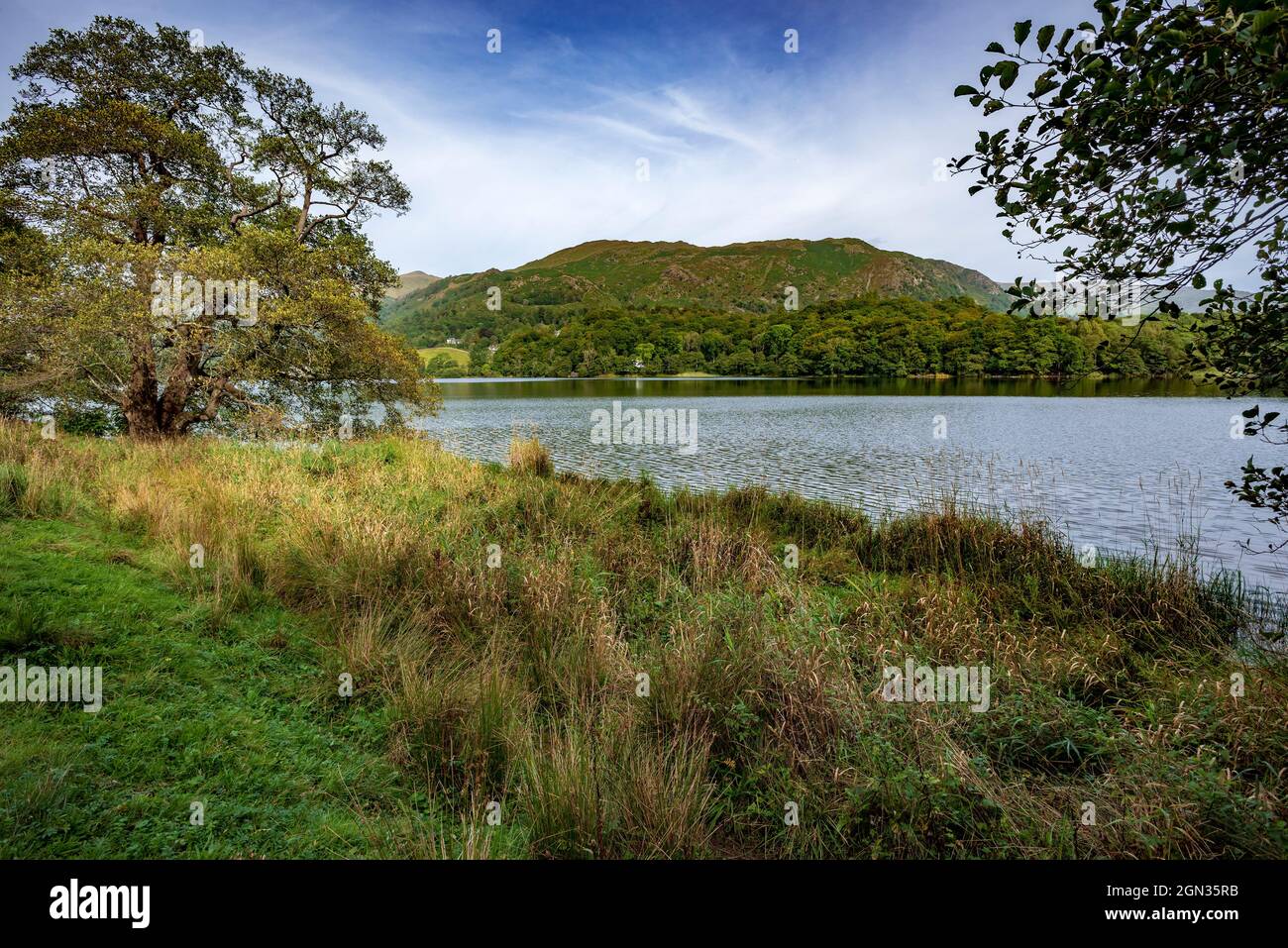Lago Grasmere cerca de Ambleside en los lagos. Foto de stock