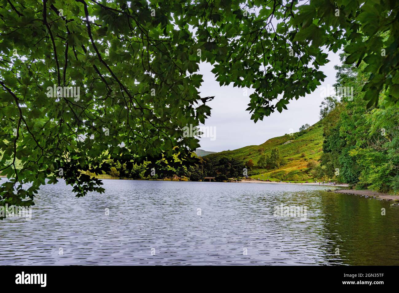 Lago Grasmere cerca de Ambleside en los lagos. Foto de stock