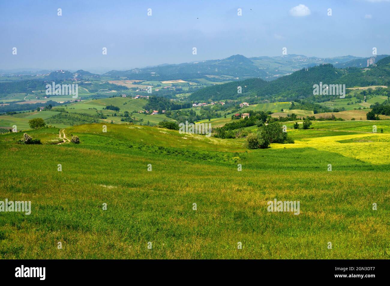 Paisaje rural en primavera en Piamonte cerca de Brignano y Serra del Monte, provincia de Alessandria, Piamonte, Italia Foto de stock
