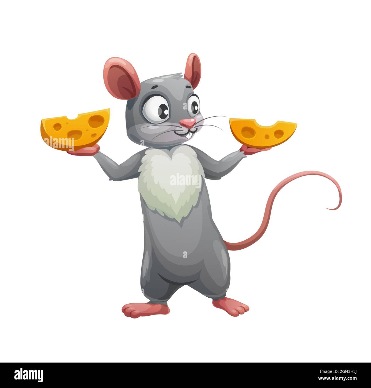 Ratón de dibujos animados y dos mitades de queso. Vector lindo rata o ratón,  hambriento personaje animal roedores sosteniendo cuñas de queso suizo, pequeño  ratón gris con orejas rosadas, cola y pecho