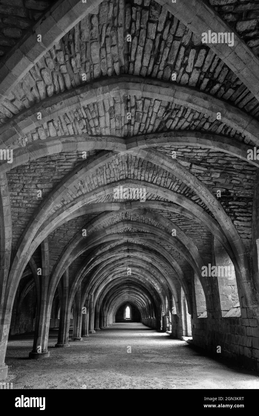 Las hermosas columnas y techo abovedado del cellarium en Fountains Abbey Foto de stock