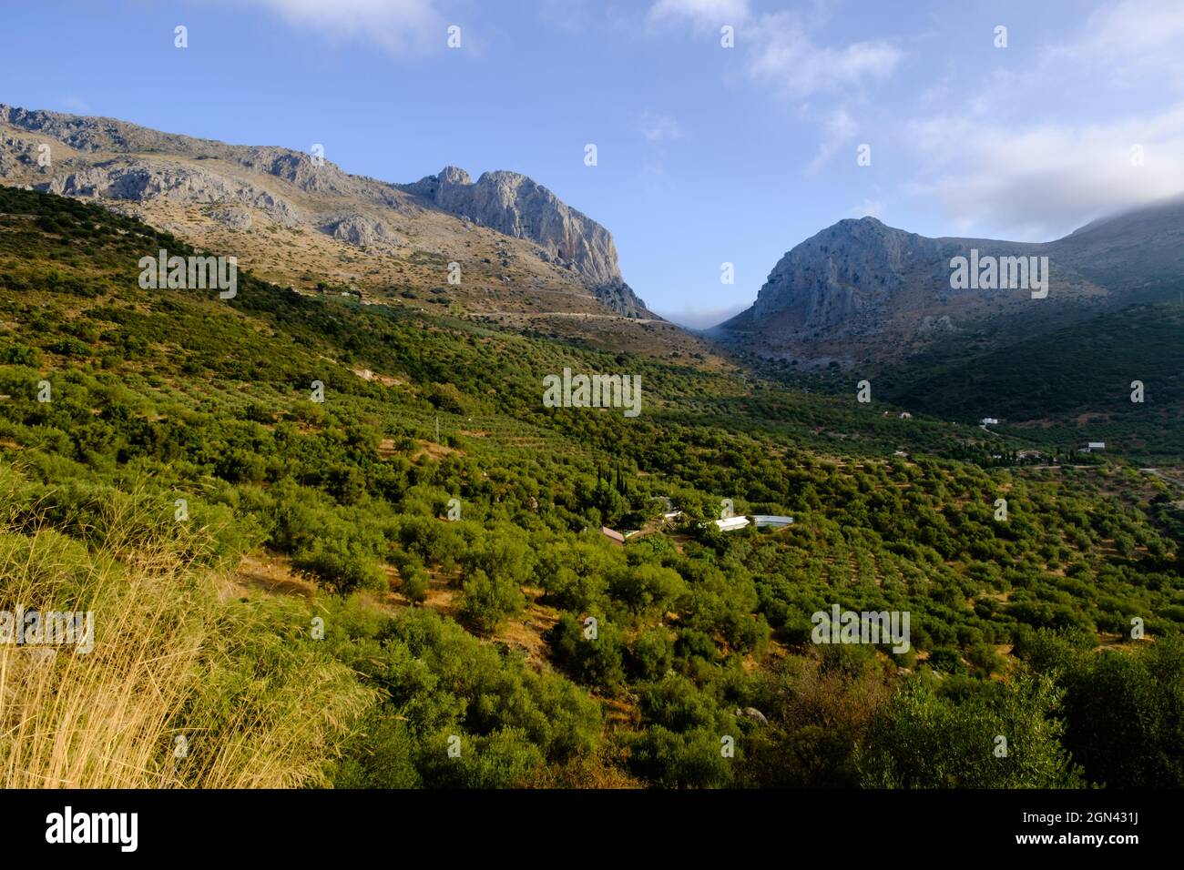 Senderismo Tajo de la U, Zafarraya Pass, Andalucía, España, Europa Foto de stock