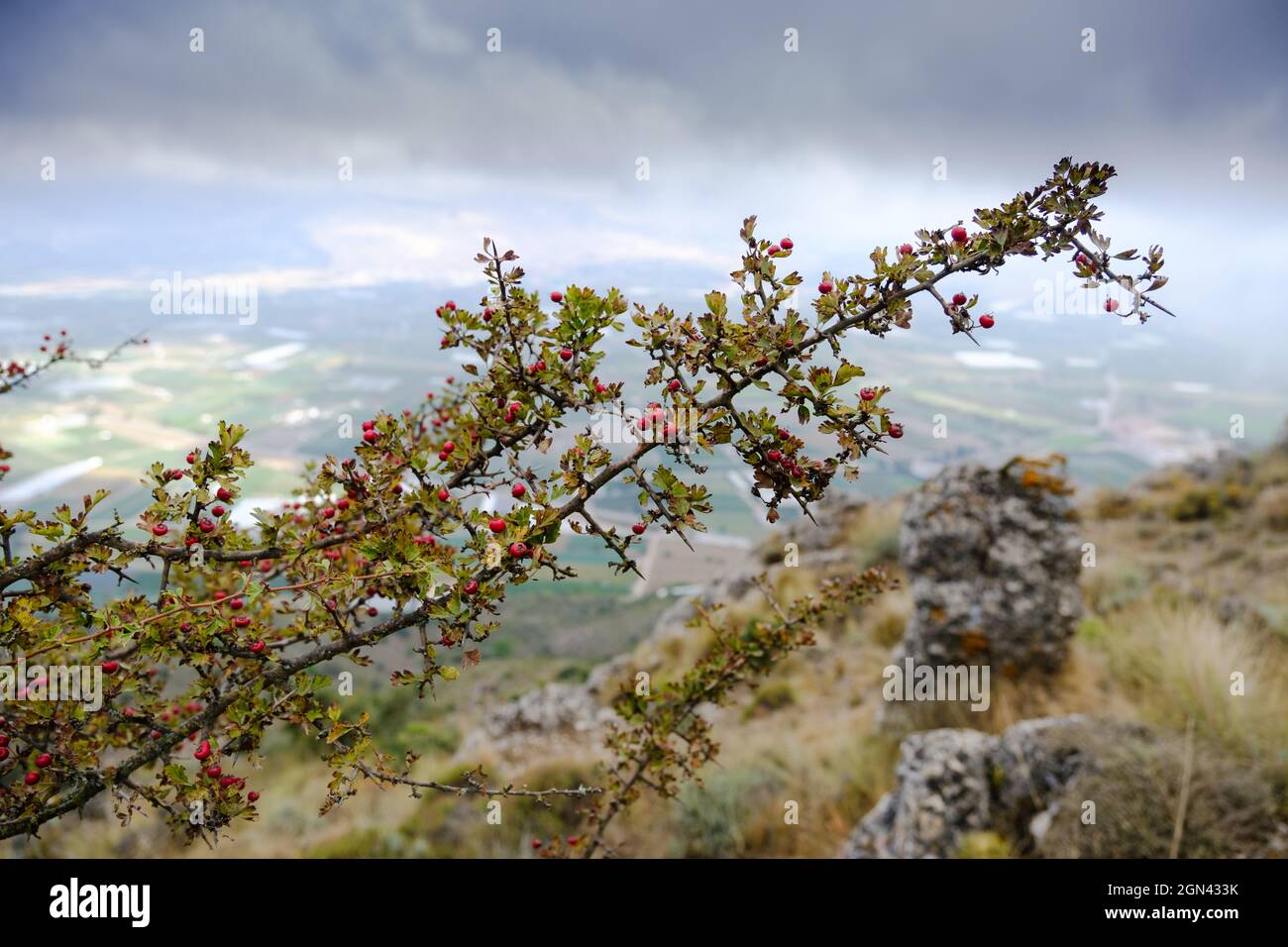 Senderismo Tajo de la U, Zafarraya Pass, Andalucía, España, Europa Foto de stock