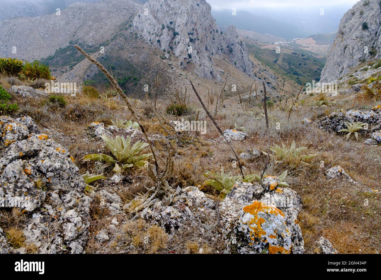 Senderismo Tajo de la U, Zafarraya Pass, Andalucía, España, Europa Foto de stock