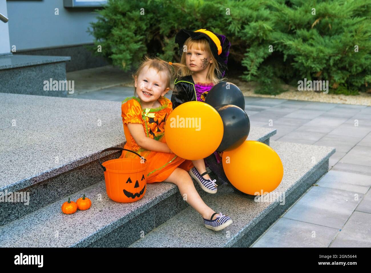 Disfraz de halloween para mascotas fotografías e imágenes de alta  resolución - Página 8 - Alamy