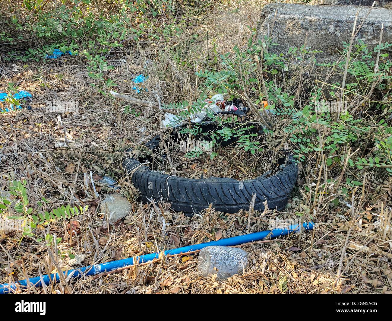 Viejo neumático usado de coche de goma descartado en ecosistema de bosque crudo, contaminación de residuos industriales ambientales Foto de stock