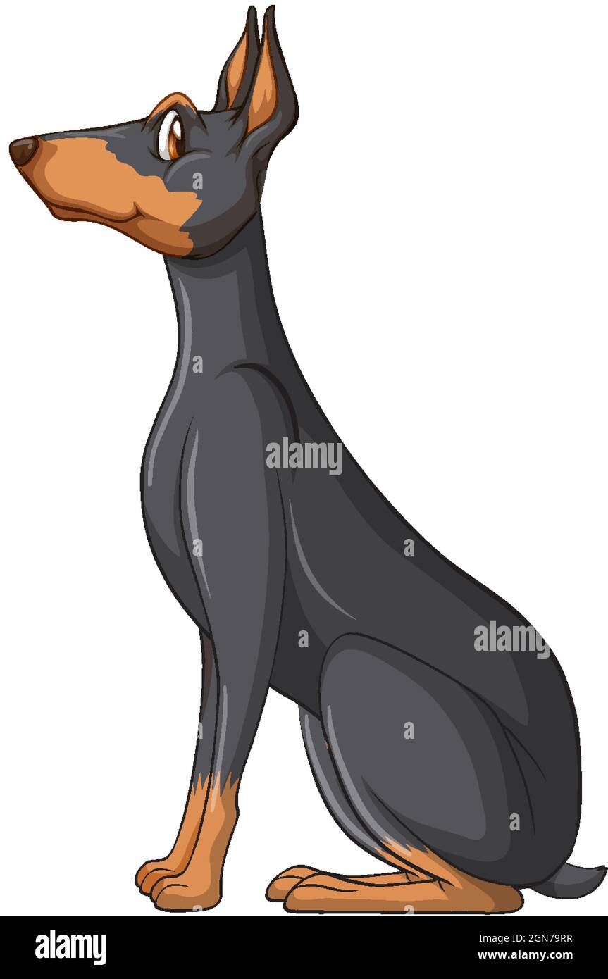 Dibujo animado de perro Doberman pinscher sobre fondo blanco Imagen Vector  de stock - Alamy
